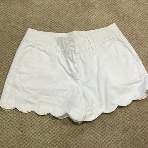 Loft size 0 scallop shorts